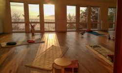 Yoga-Pfalz-1.jpg
